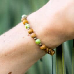 Armband für die Gesundheit aus echtem Jaspis in braun und Grün
